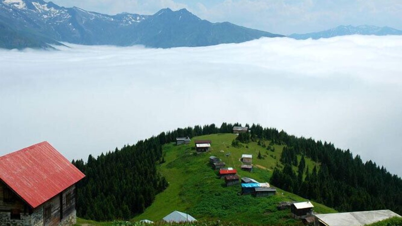 Photo of Others in Rize