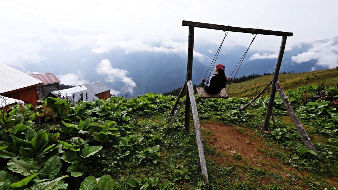 Photo of Others in Rize
