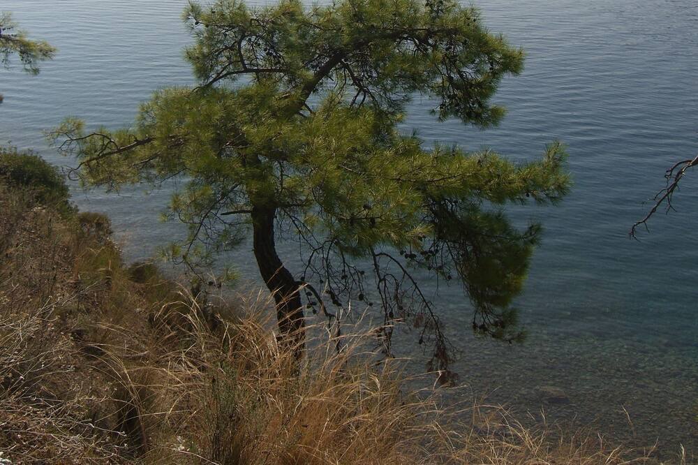 Photo of Others in Dalyan City Center