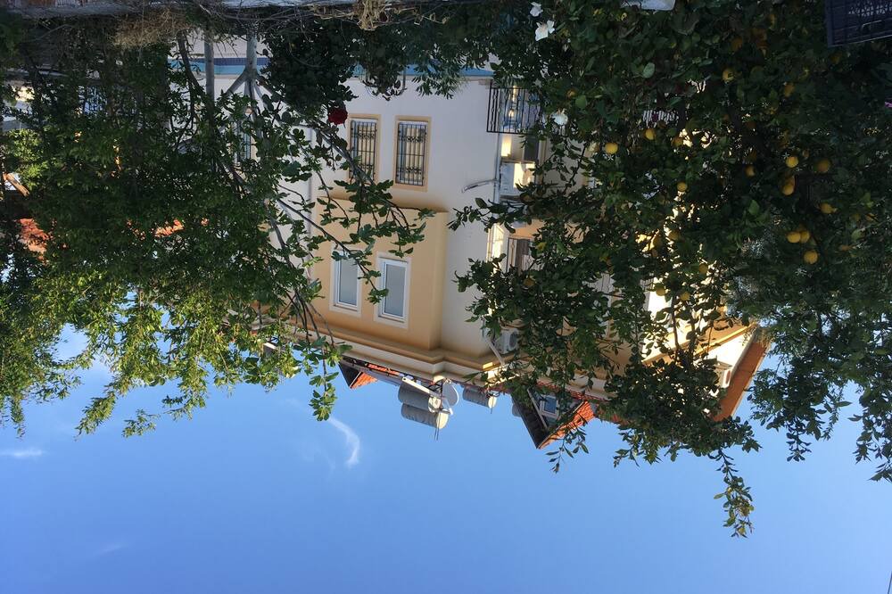 Photo of Outdoor in Dalyan City Center