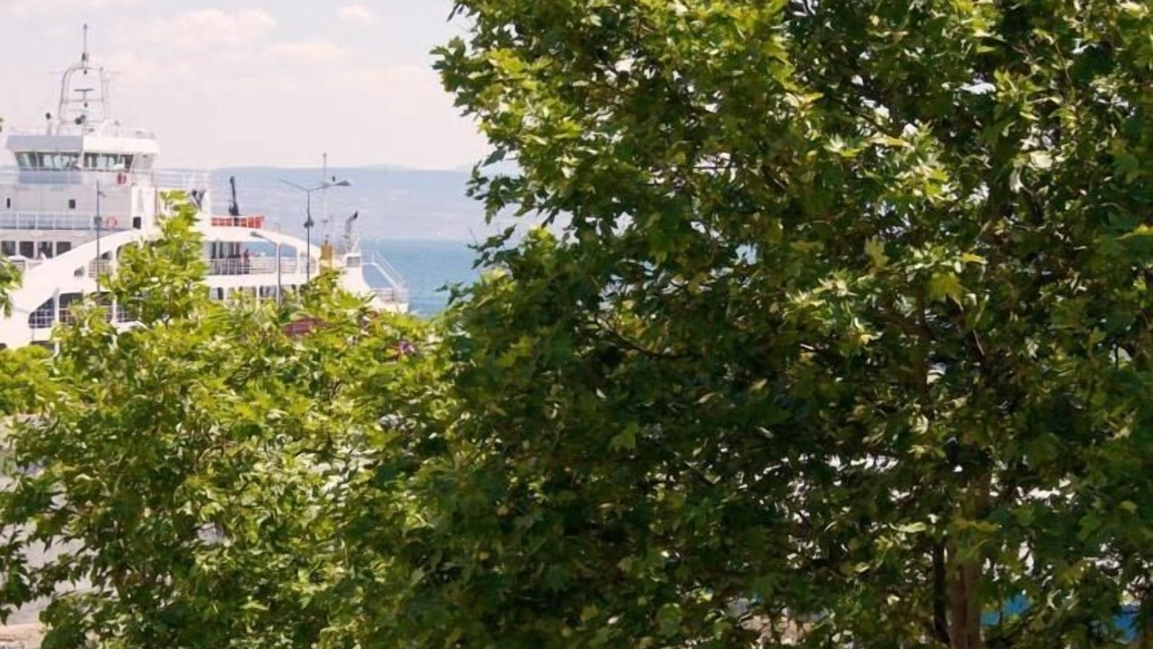 Photo of Others in Gelibolu