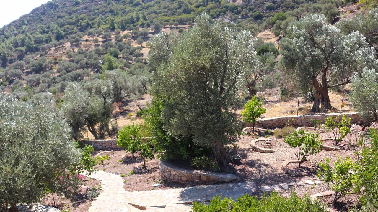 Photo of Outdoor in Mesudiye