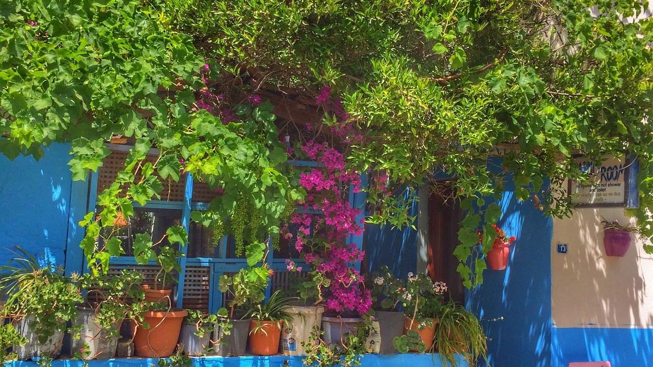 Photo of Outdoor in Cesme