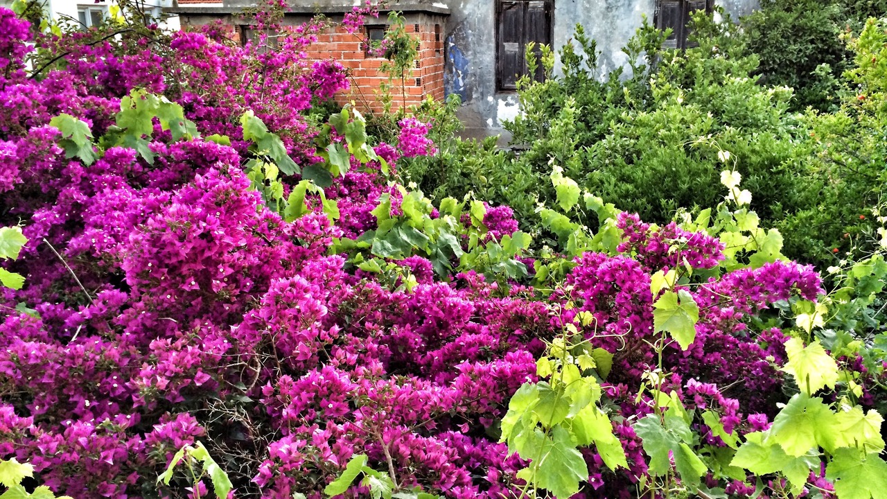 Photo of Outdoor in Cesme