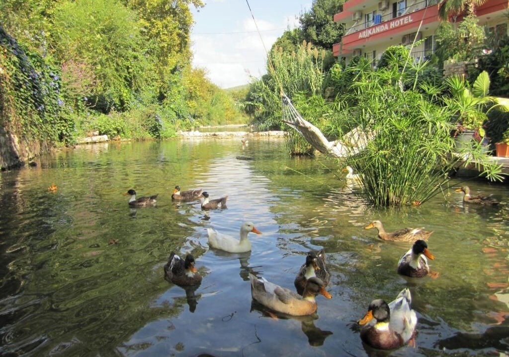 Photo of Outdoor in Adrasan