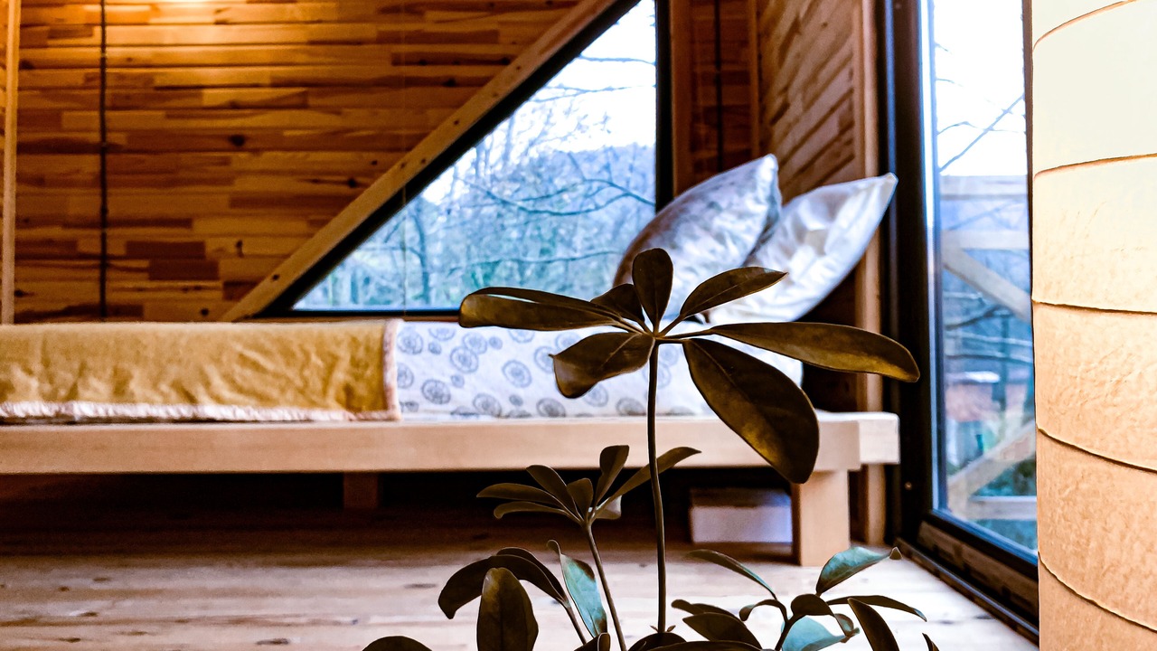 Photo of Bedroom in Findikli
