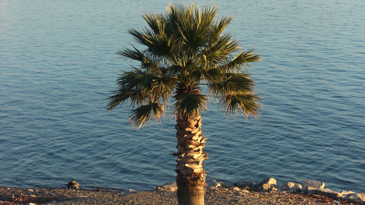 Photo of Others in Akcay
