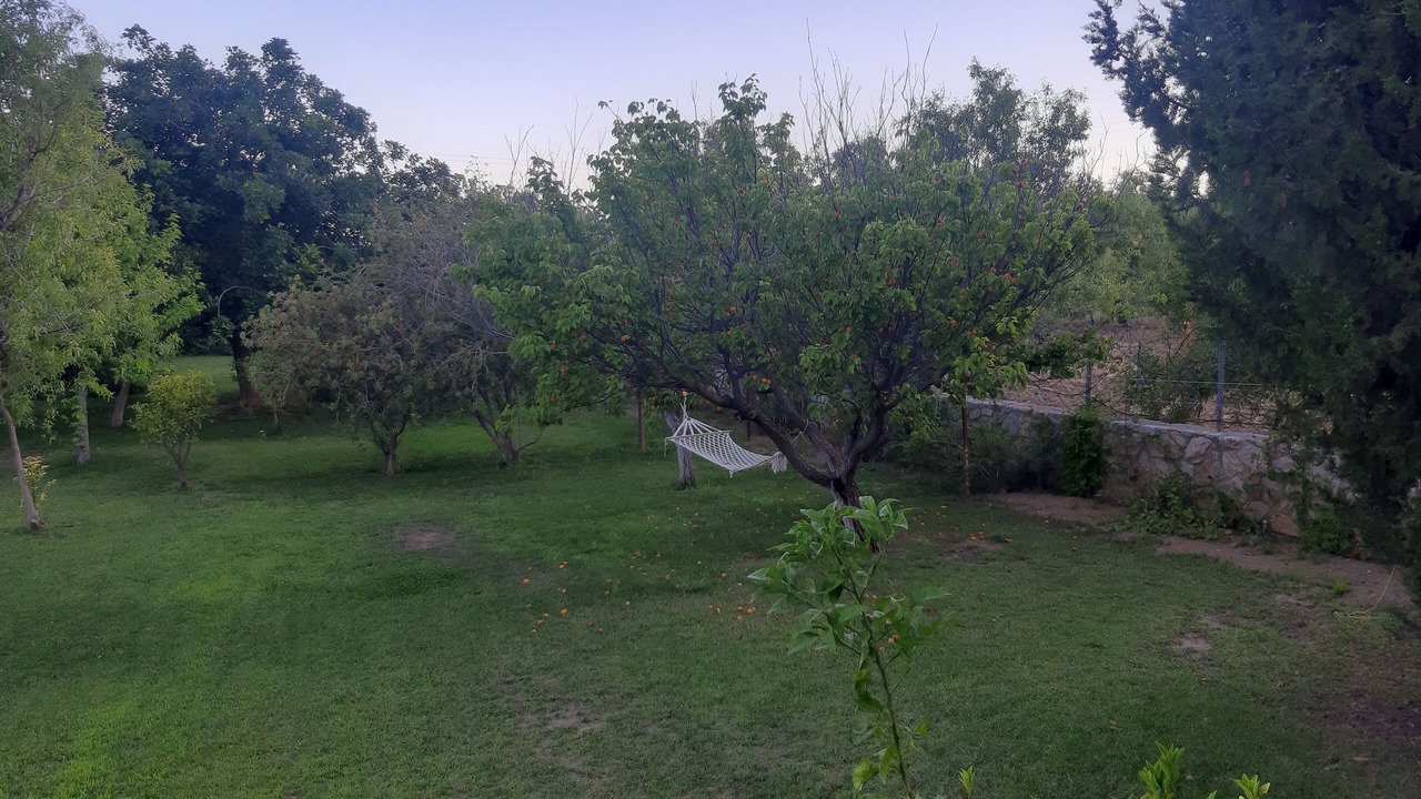 Photo of Outdoor in Mesudiye
