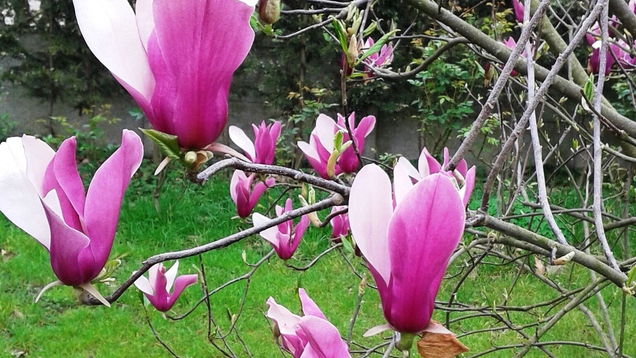 Photo of Outdoor in Yanik