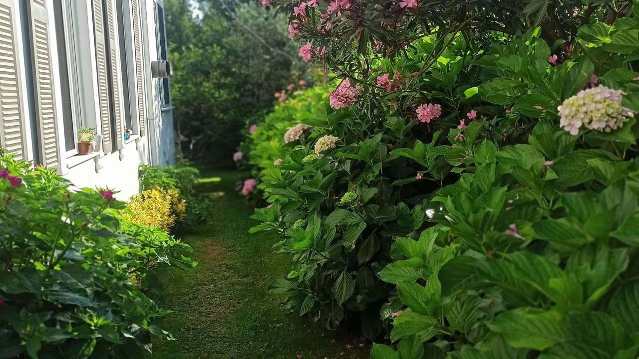 Photo of Outdoor in Yanik