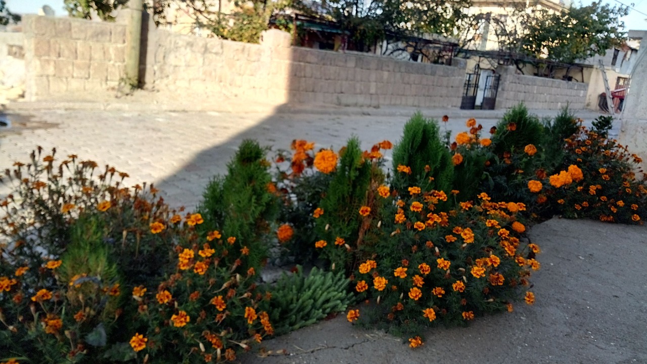 Photo of Outdoor in Mustafapasa