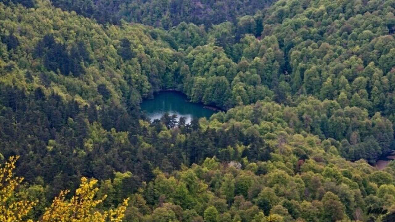 Photo of Others in Bolu