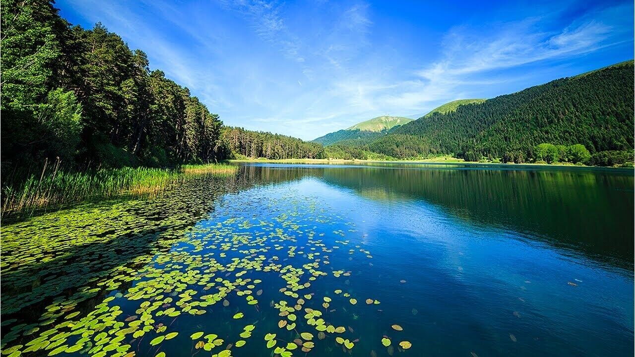 Photo of Others in Bolu