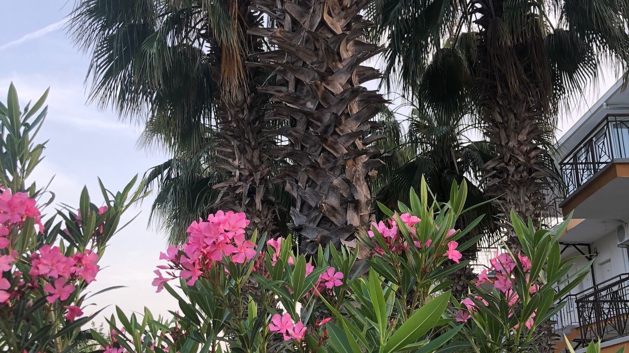 Photo of Outdoor in Goynuk