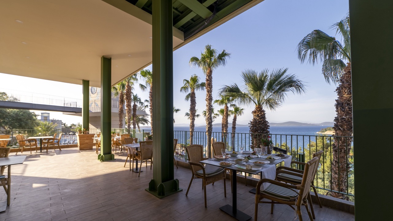 Photo of Others in Torba
