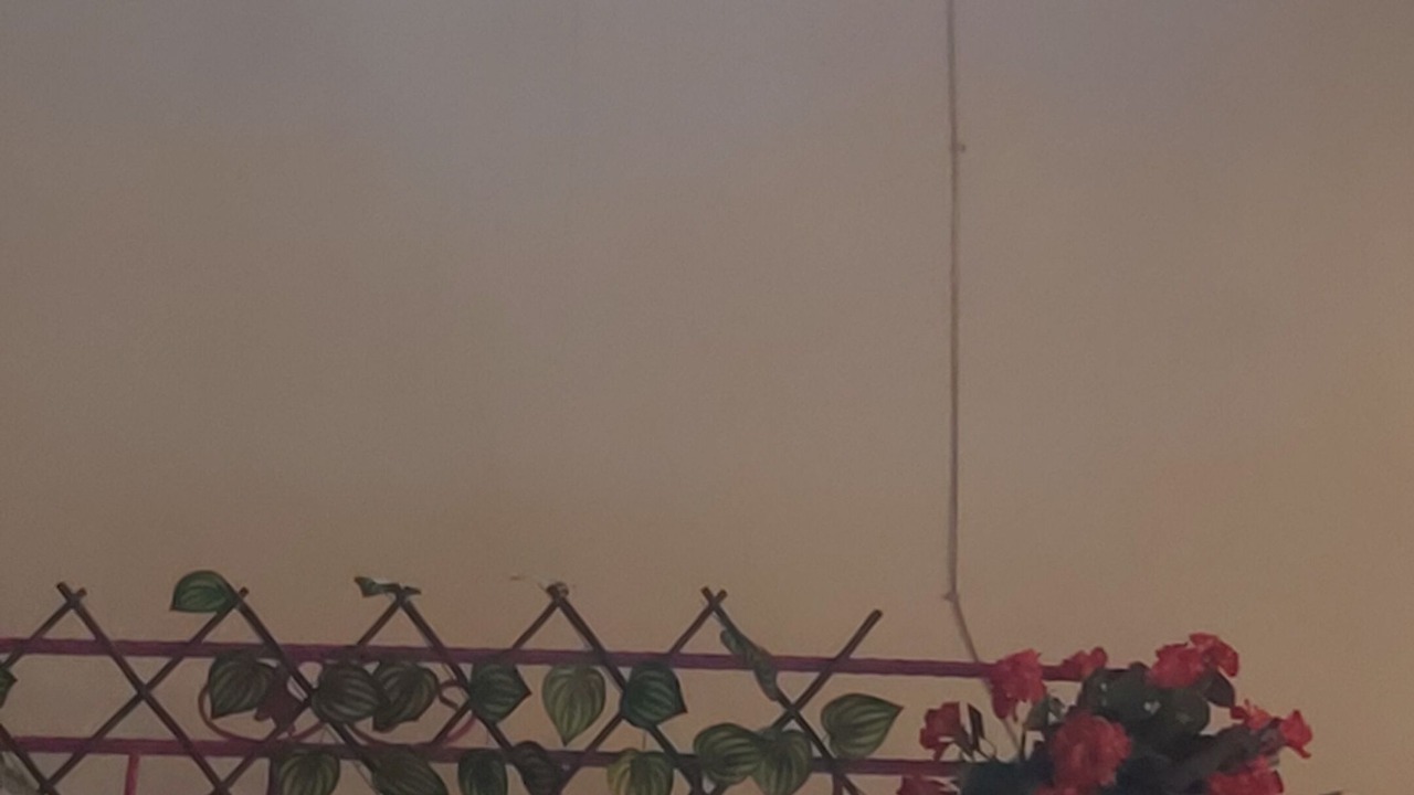 Photo of Outdoor in Sigacık