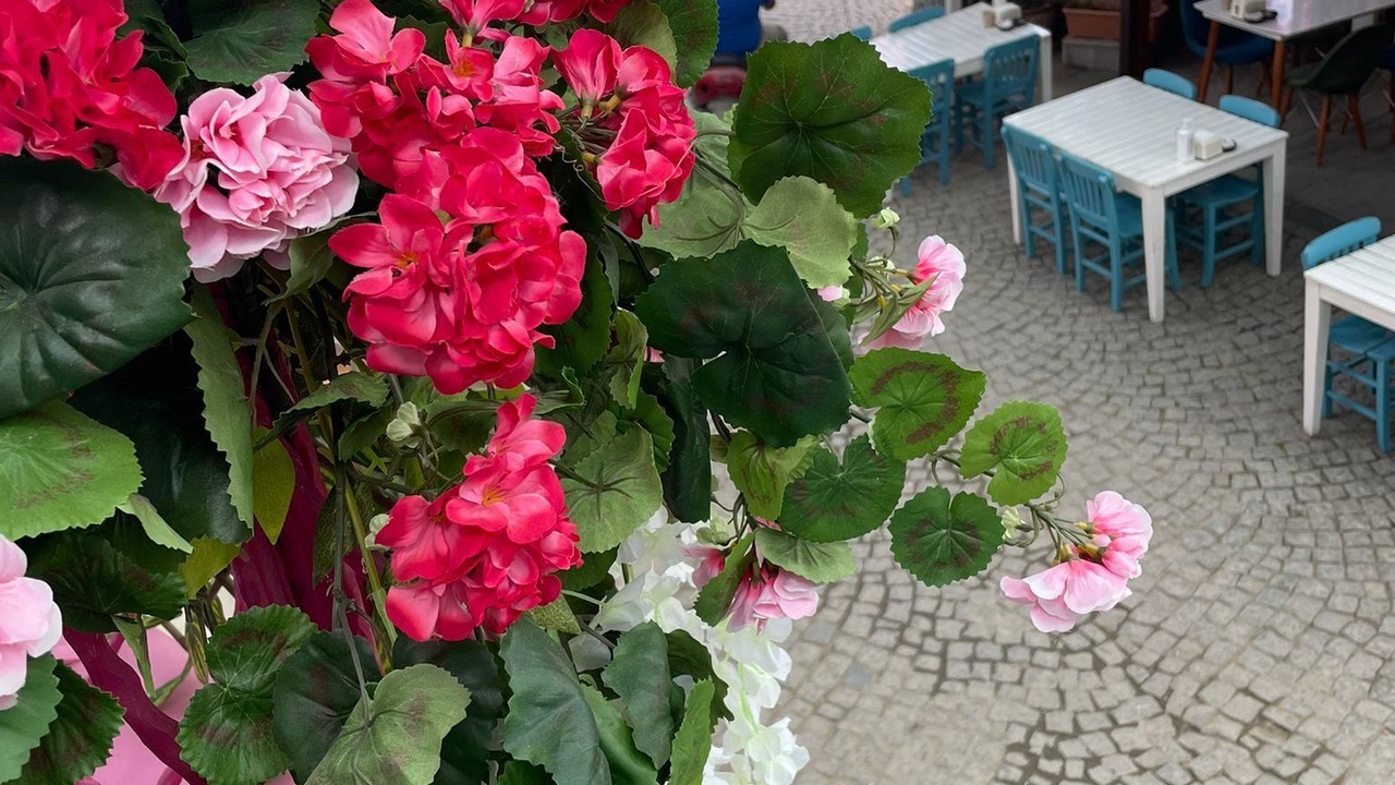 Photo of Outdoor in Sigacık