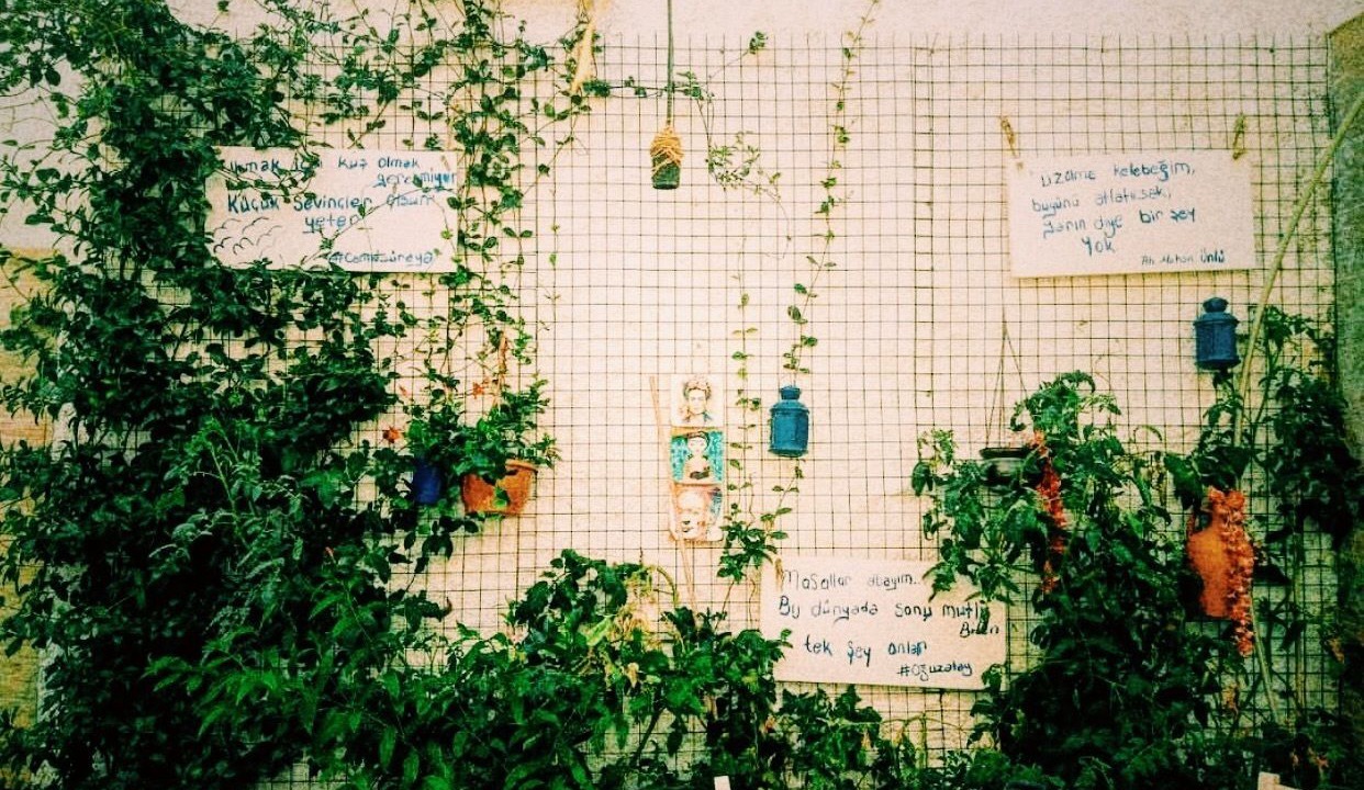 Photo of Others in Sigacık