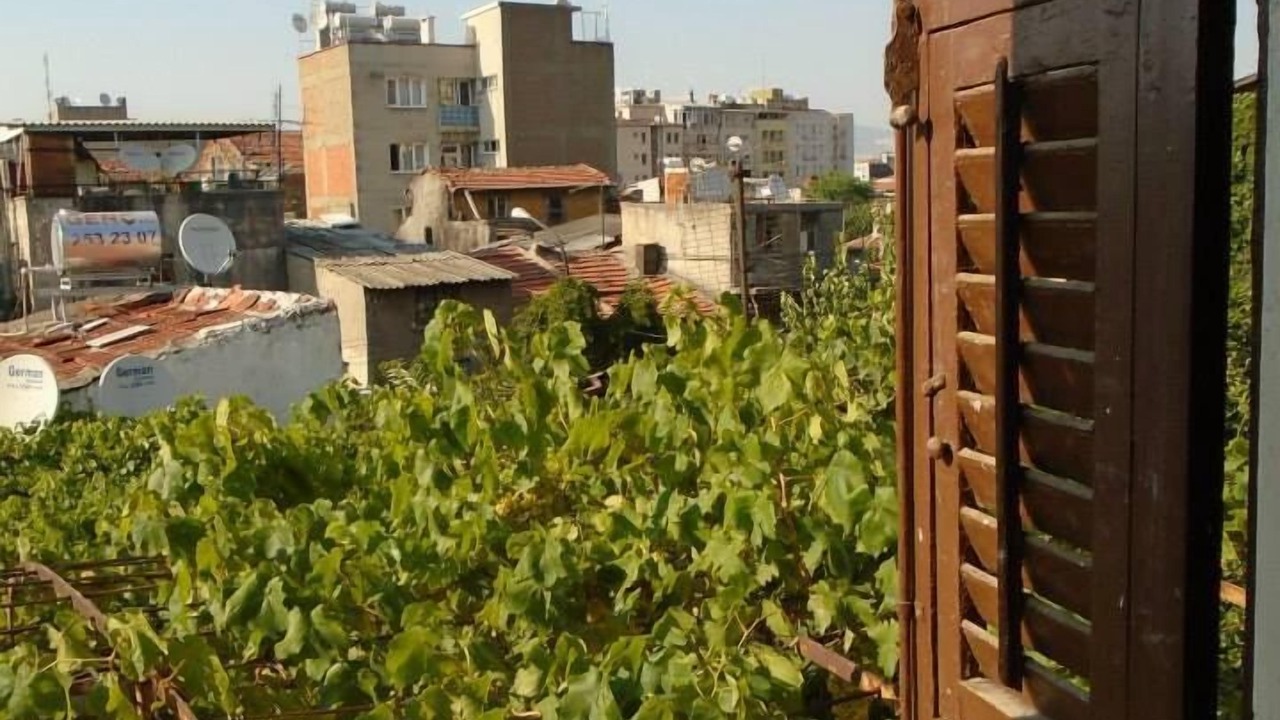 Photo of Others in Konak