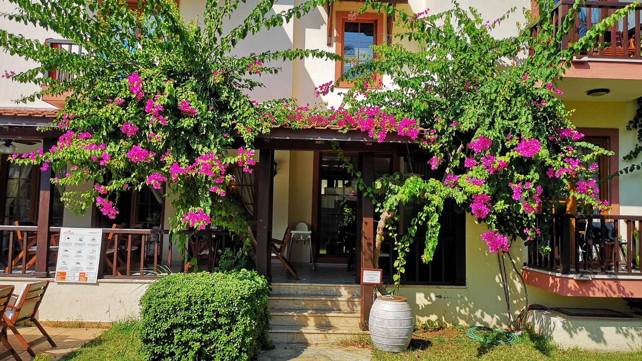 Photo of Outdoor in Gocek