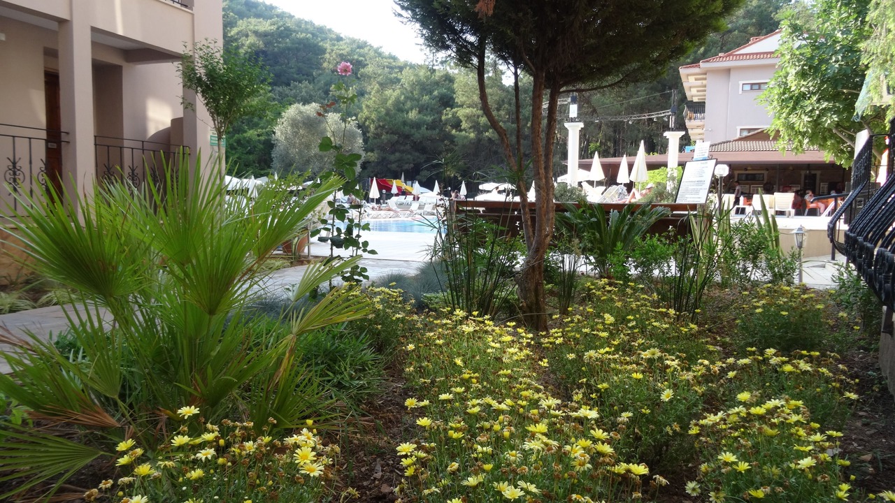 Photo of Outdoor in Hisaronu
