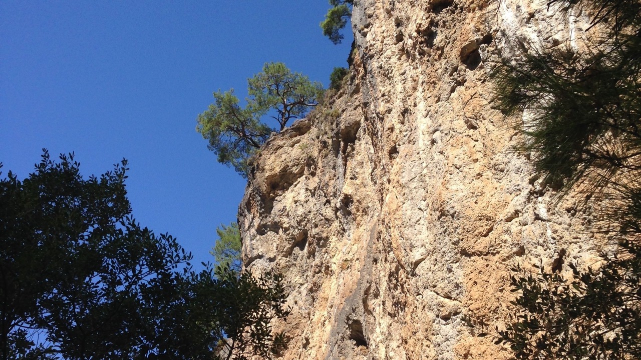 Photo of Outdoor in Uzunyurt