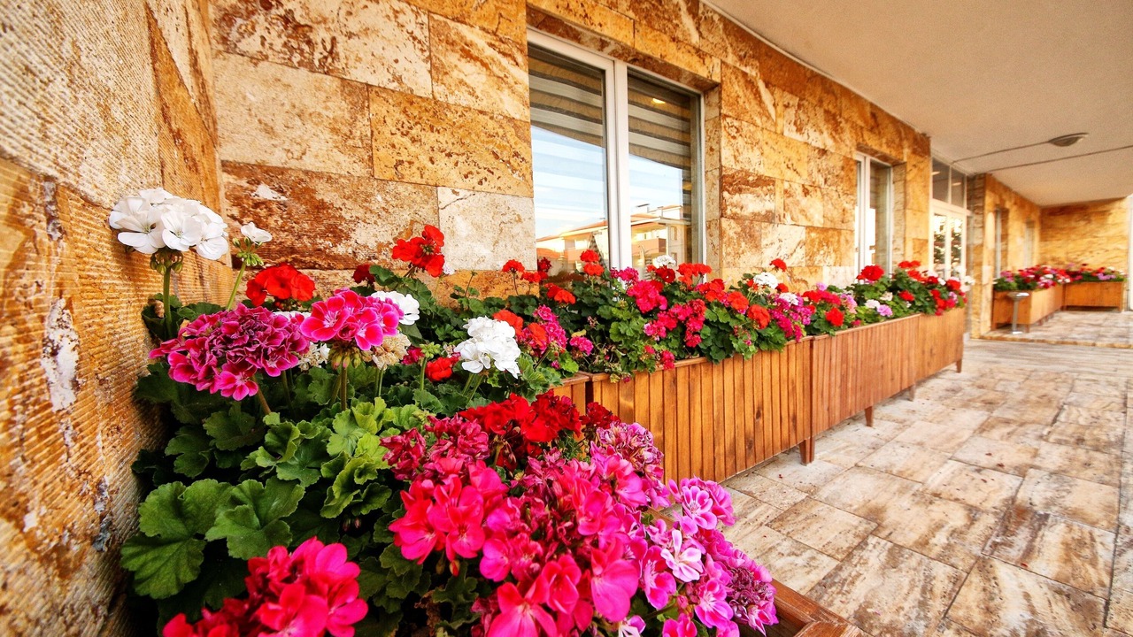 Photo of Outdoor in Karabuk
