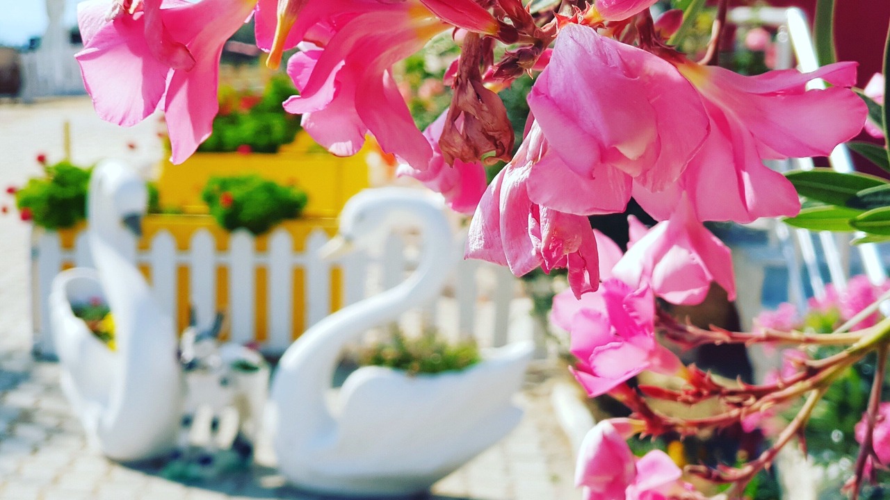 Photo of Outdoor in Cesme