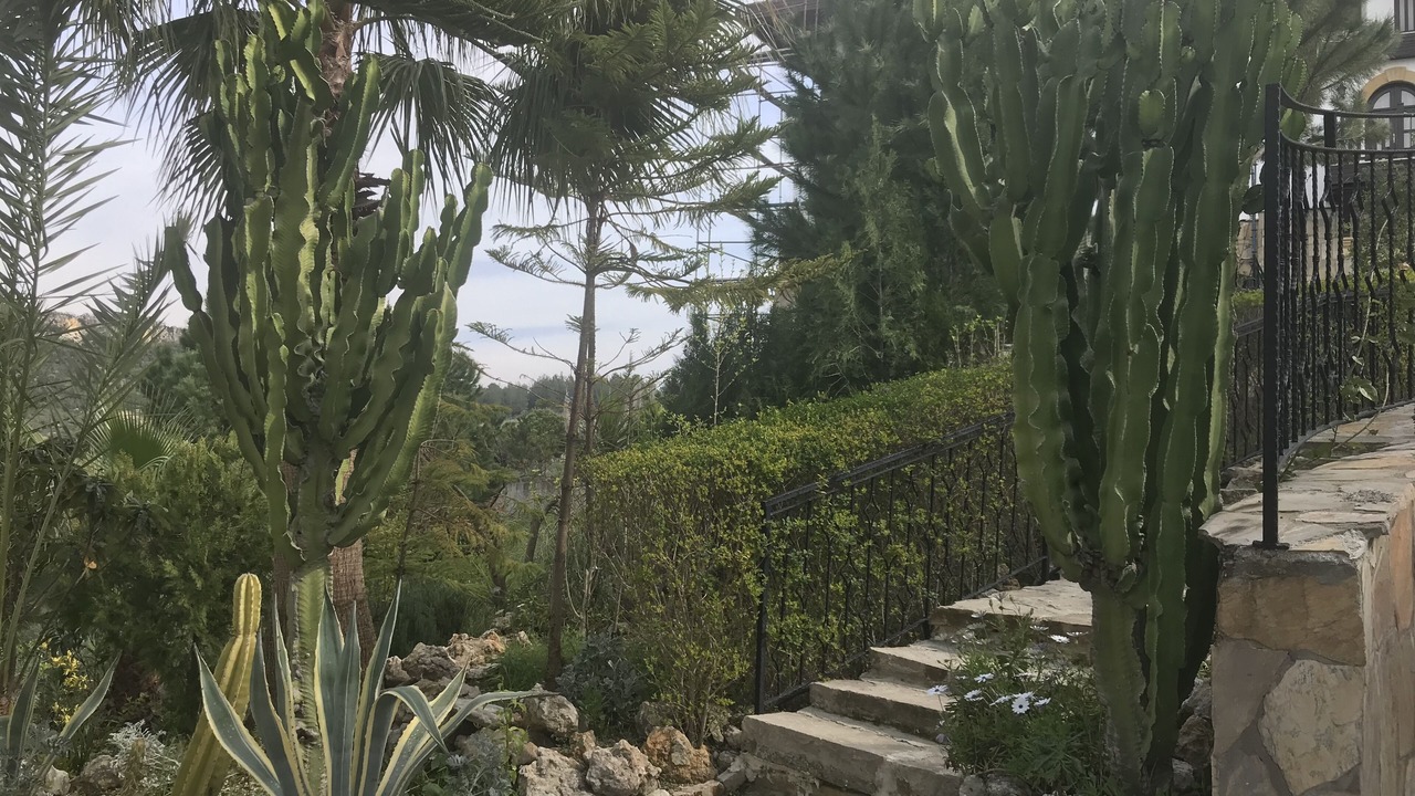 Photo of Outdoor in Manavgat