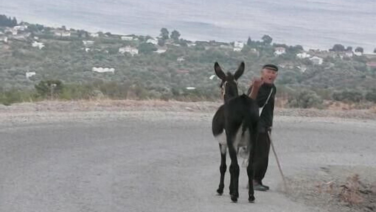 Photo of Others in Mesudiye