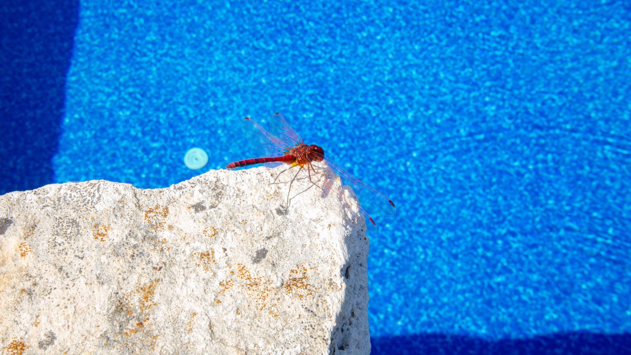 Photo of Outdoor in Kas