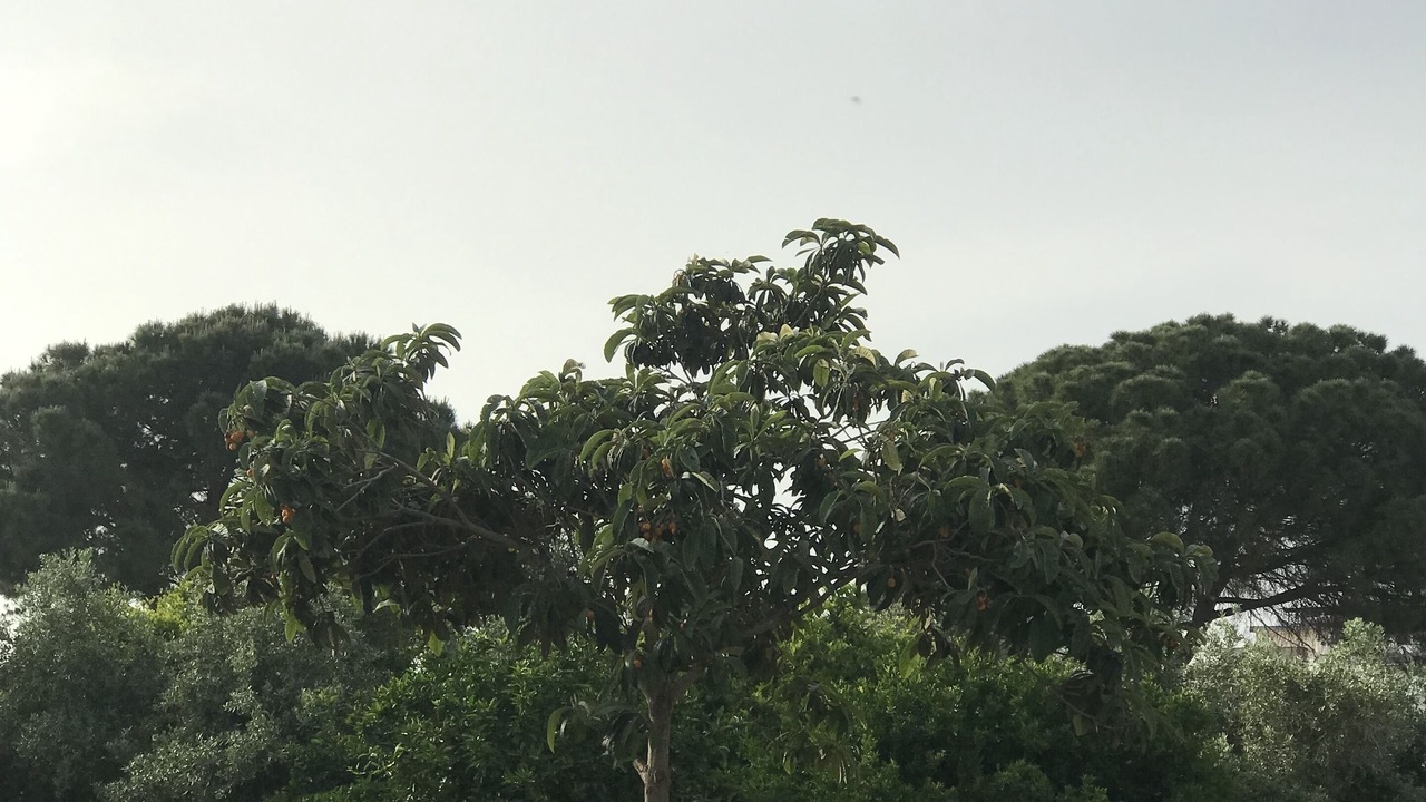 Photo of Outdoor in Gulluk