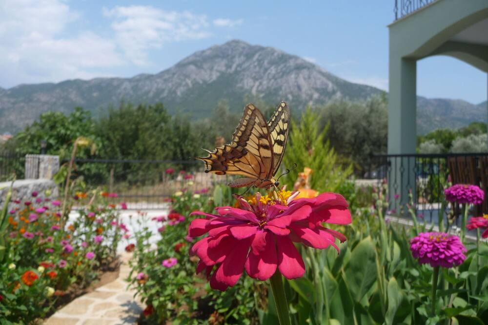 Photo of Outdoor in Yesiluzumlu