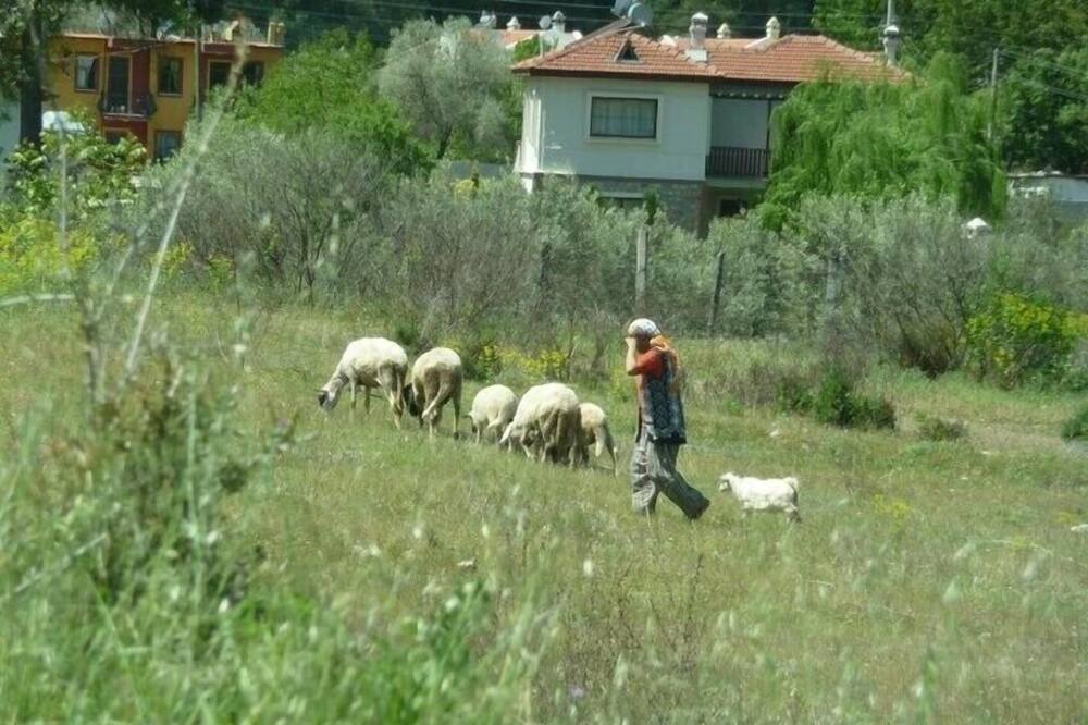 Photo of Others in Yesiluzumlu