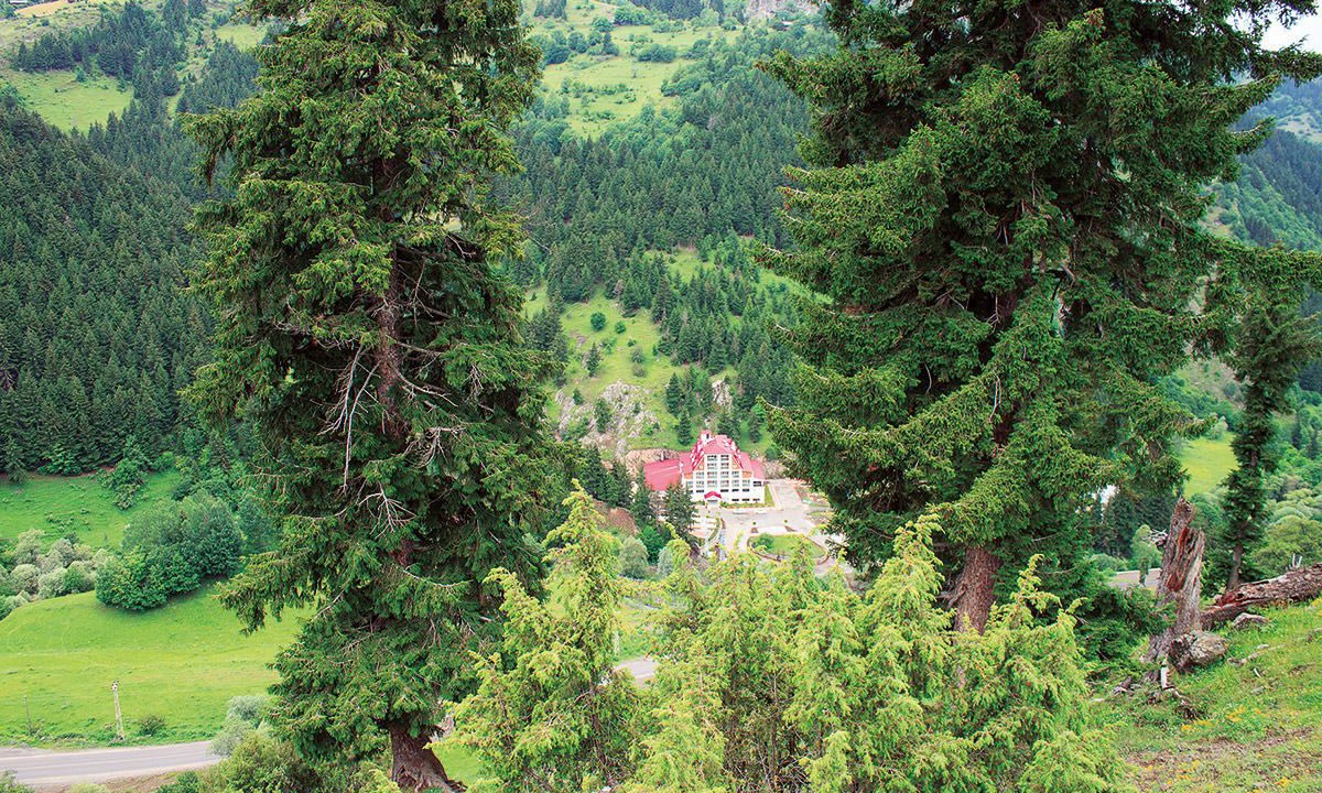 Photo of Outdoor in Savsat