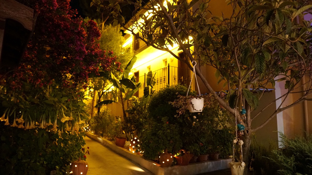 Photo of Others in Oludeniz
