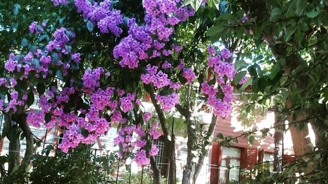 Photo of Outdoor in Adalar