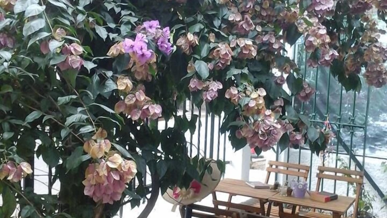 Photo of Outdoor in Adalar