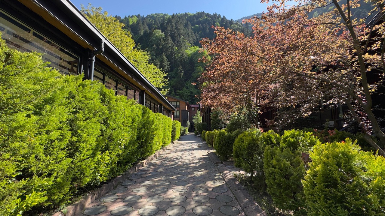 Photo of Outdoor in Uzungol