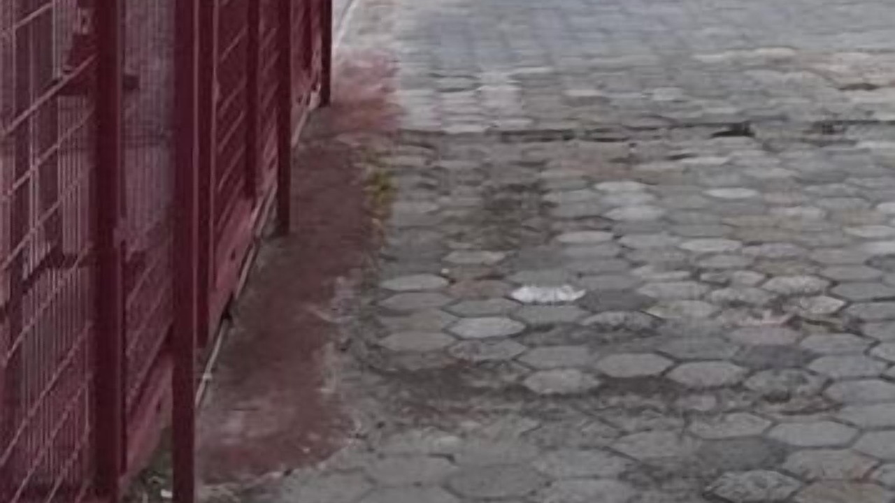 Photo of Others in Odunpazarı