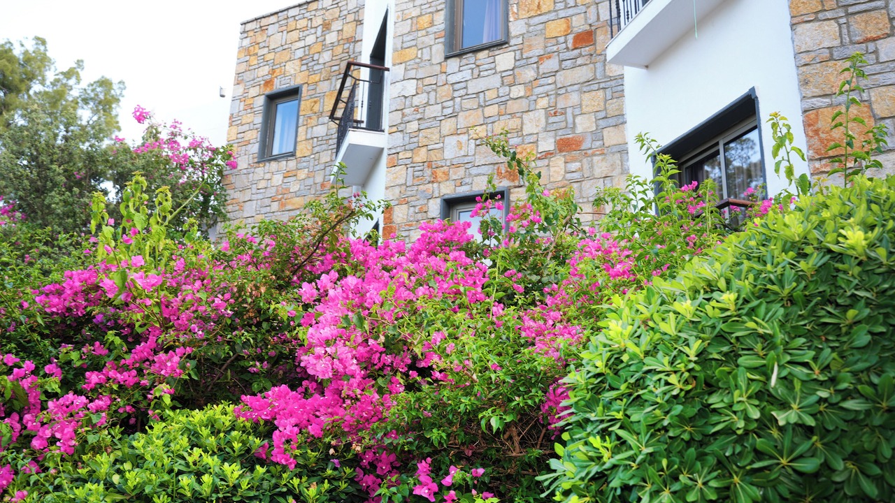 Photo of Outdoor in Bitez