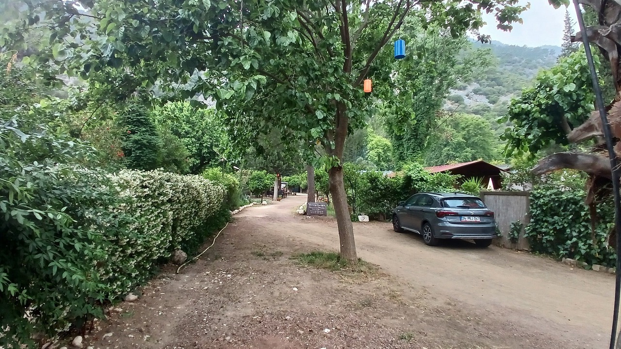 Photo of Others in Cirali