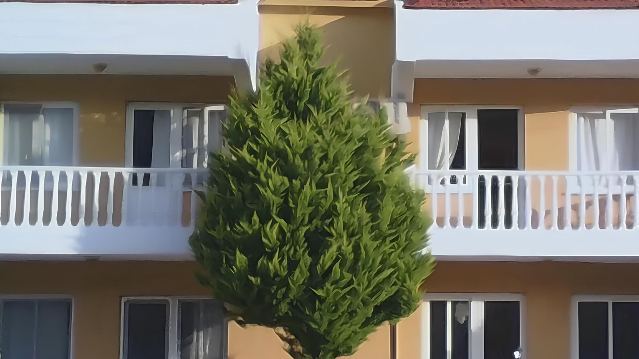 Photo of Outdoor in Turunc
