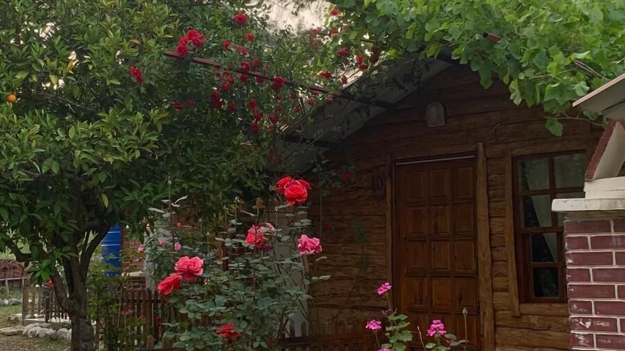 Photo of Livingroom in Olympos