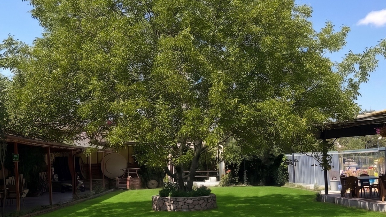 Photo of Outdoor in Sarikaya