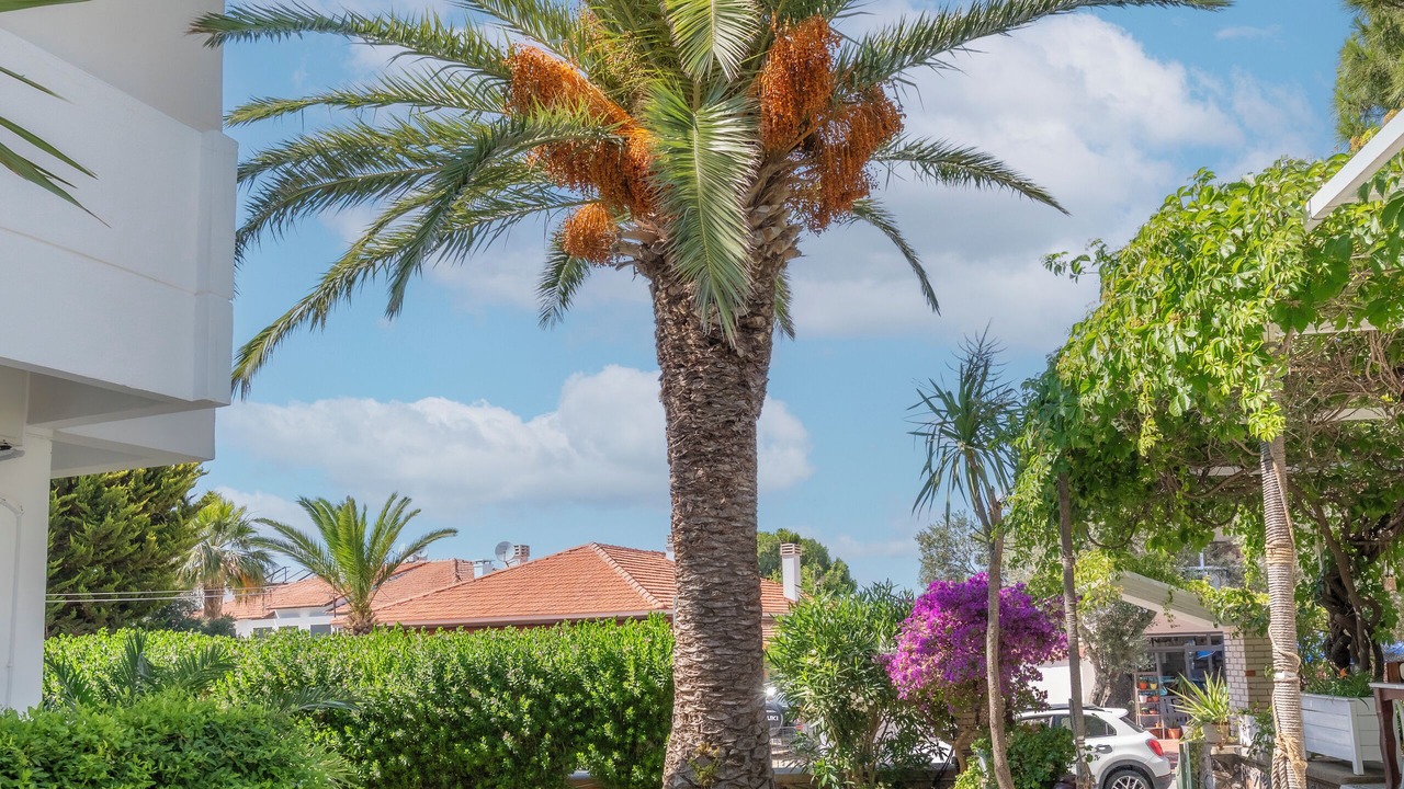 Photo of Outdoor in Ilica