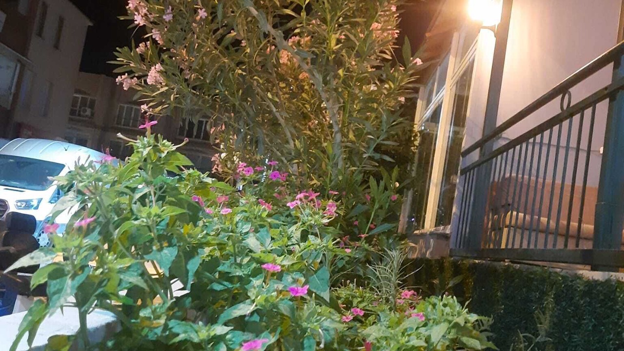 Photo of Outdoor in Cesme
