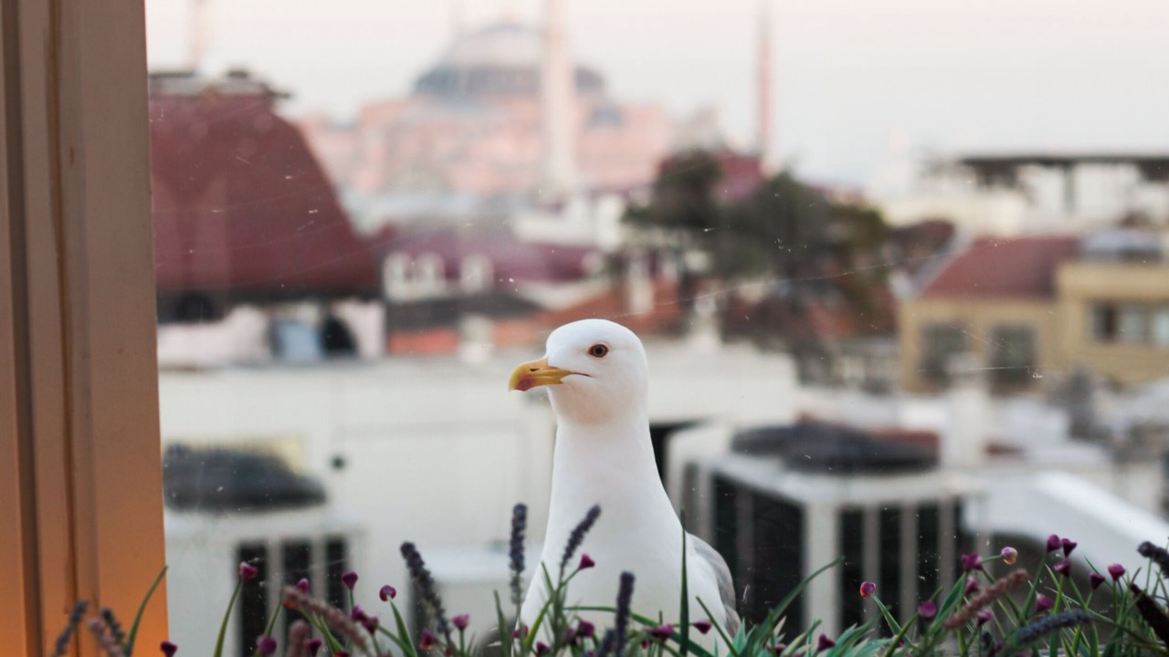 Photo of Others in Old City