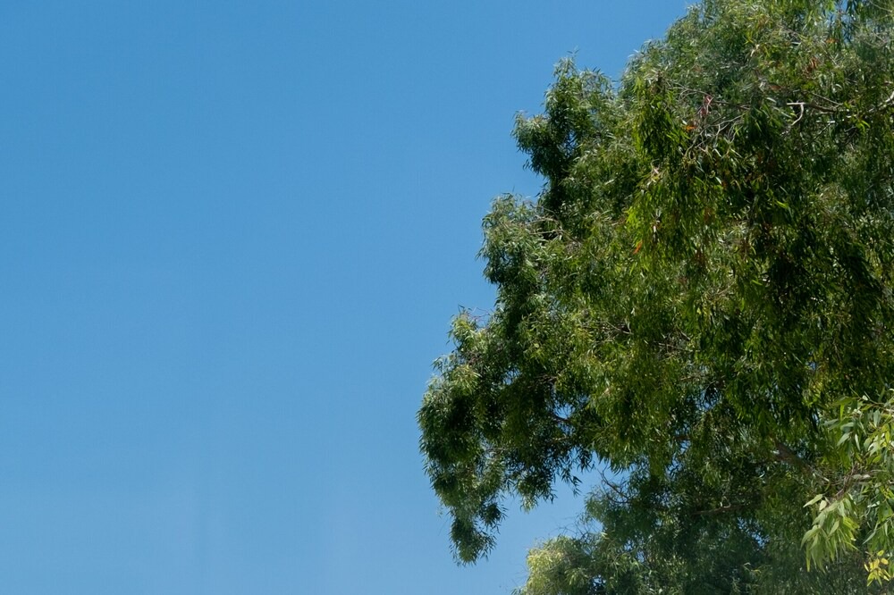 Photo of Outdoor in Patara