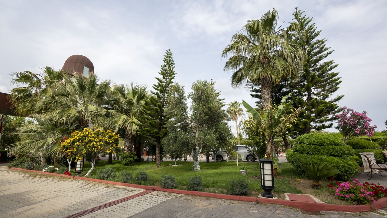 Photo of Outdoor in Cenger